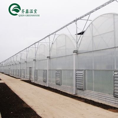 투명한 해변 집 텐트 온실