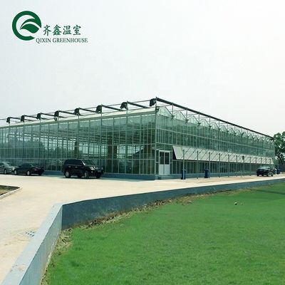 PVC 수식 하천 시스템으로 큰 맞춤형 농업 유리 온실