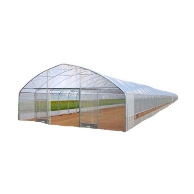 단일 스프렌 온실 냉각 관개 환기 및 더 많은 Hydroponic 공급