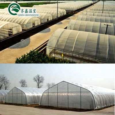 단일 스프렌 온실 냉각 관개 환기 및 더 많은 Hydroponic 공급