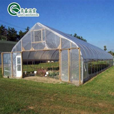 단일 스프렌 온실 냉각 관개 환기 및 더 많은 Hydroponic 공급