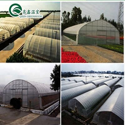 단일 스프렌 온실 냉각 관개 환기 및 더 많은 Hydroponic 공급