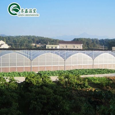 맞춤식 농업을 위한 이중 또는 단일층 다단계 농업 온실