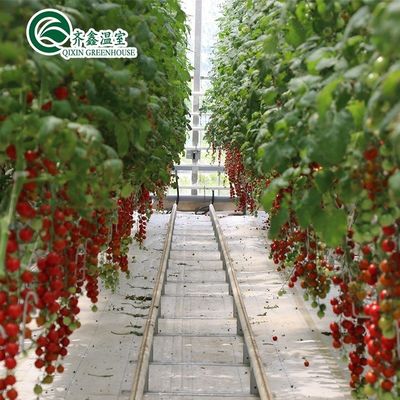 우리의 상업 온실 필리핀과 함께 자신의 채소 과일과 꽃을 재배