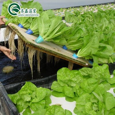 PO 타워 정원 채소 과일 꽃 예산 친화적 농업 온실