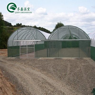 30 x 100 채소 재배 필름으로 덮여 있는 다발성 아치 온실