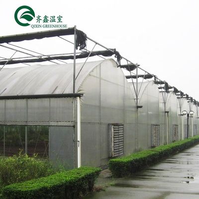 큰 철강 온실 구조 150/200마이크로 PE 필름 덮개와 함께 쉐드 디자인