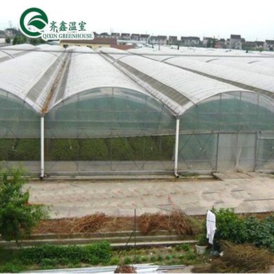 플라스틱 필름으로 덮인 다터널 온실