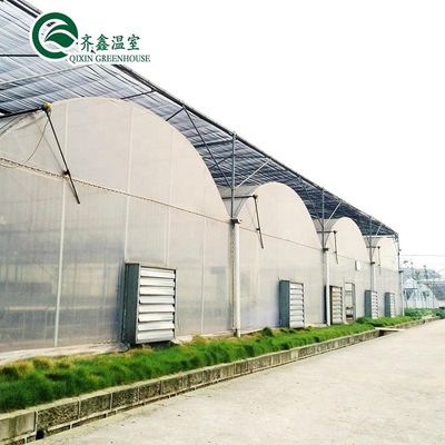 첨단 심기 기계와 함께 농업 온실 내부 및 외부 그림자 시스템