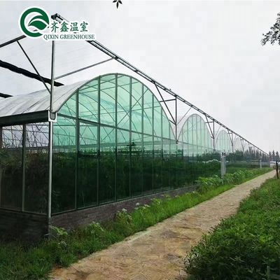 다단계 농업 온실 두층 수직 수식 시스템 업그레이드
