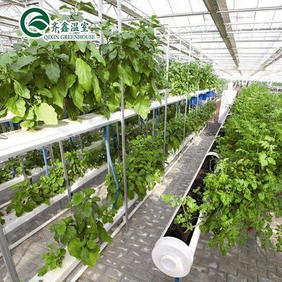 PO 필름과 함께 다단계 농업 온실 실내 수식 시스템을 재정립