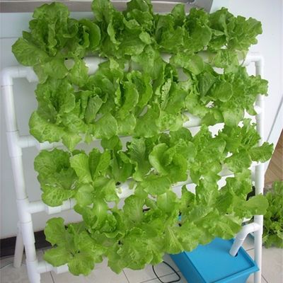 우수한 식물 성장 결과를 위한 PO 필름 이중층 수식용품