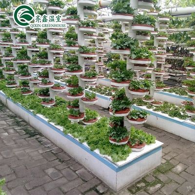 다단계 농업 온실 온실용 CO2 생성기